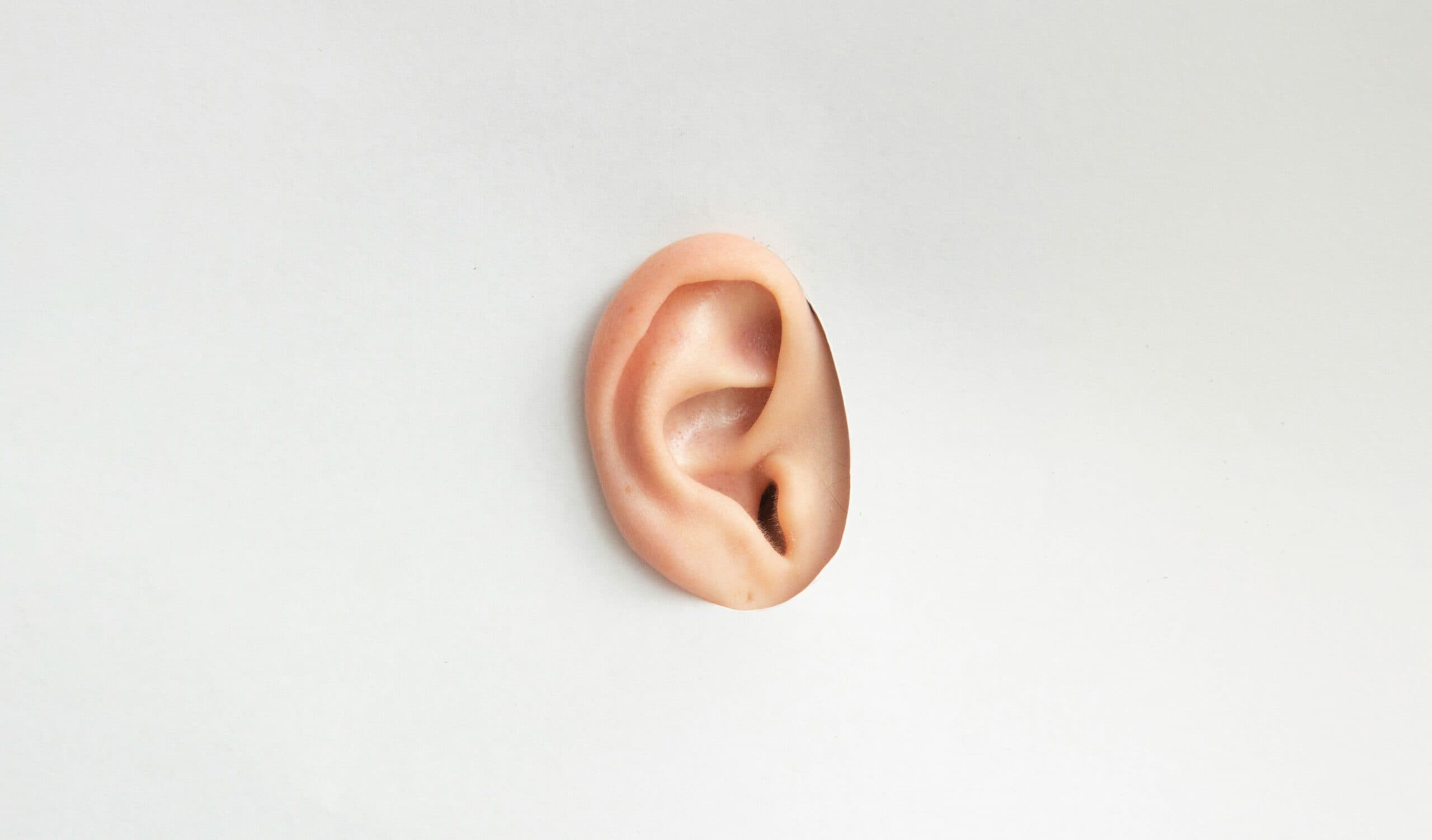 An ear